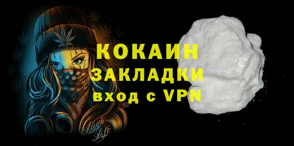 ПСИЛОЦИБИНОВЫЕ ГРИБЫ Горно-Алтайск