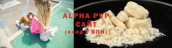 ПСИЛОЦИБИНОВЫЕ ГРИБЫ Горно-Алтайск