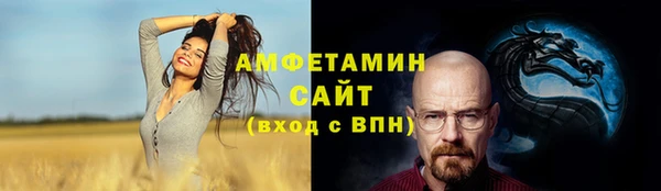 ПСИЛОЦИБИНОВЫЕ ГРИБЫ Горно-Алтайск