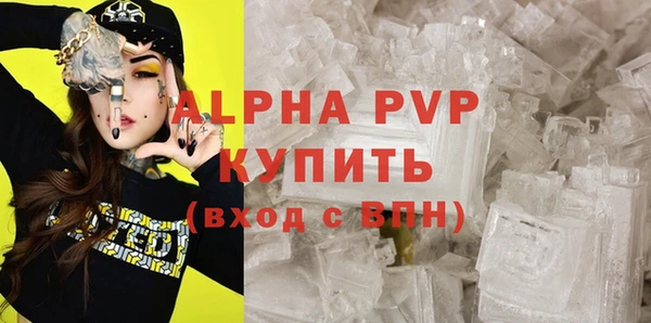 ПСИЛОЦИБИНОВЫЕ ГРИБЫ Горно-Алтайск