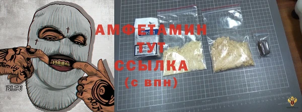 ПСИЛОЦИБИНОВЫЕ ГРИБЫ Горно-Алтайск