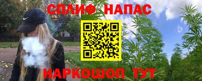 гидра Гай