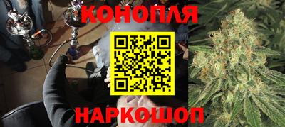 гидра Гай