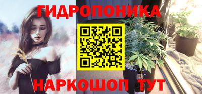 не бодяженный Гатчина