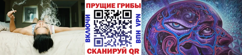 Галлюциногенные грибы MAGIC MUSHROOMS  магазин продажи   Десногорск 